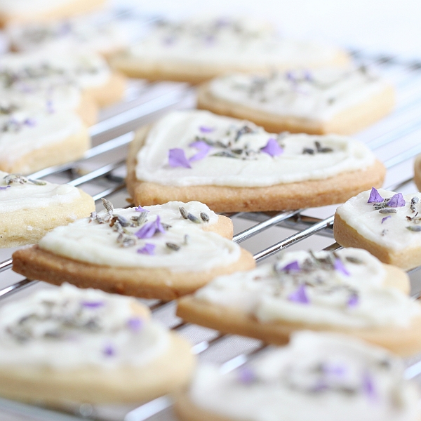 lavendar-shortbread3-square